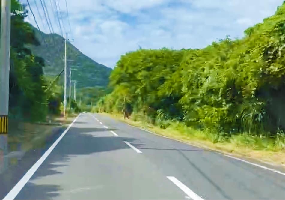 ドライブの様子